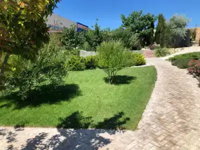 Ботаника - 12