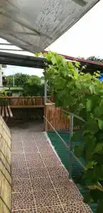 Мечты сбываются - 3