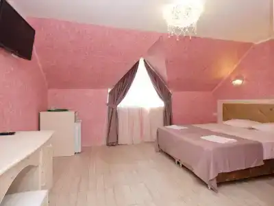 Хризантема - 13