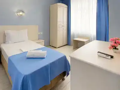 Хризантема - 20