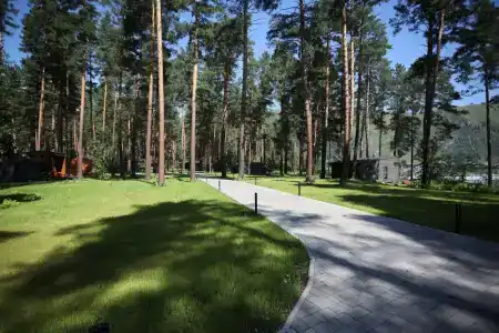 Хвоя в горах - 36