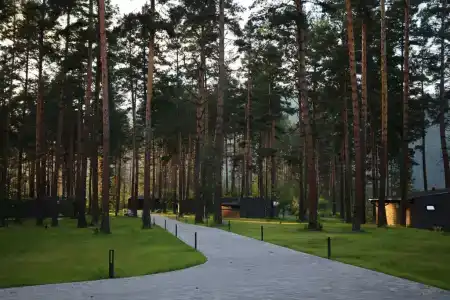 Хвоя в горах - 37
