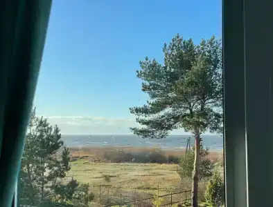 Спицино - 42
