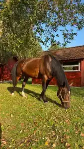 Тихий дом - 26