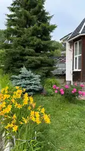 Флагман - 4