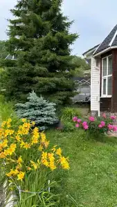 Флагман - 44