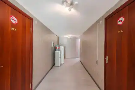 Арев - 1