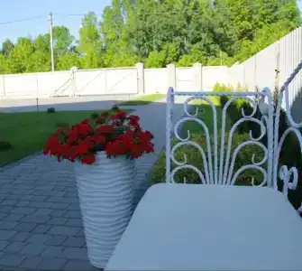 Лебединый - 9