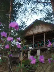 Зеленые Холмы - 3