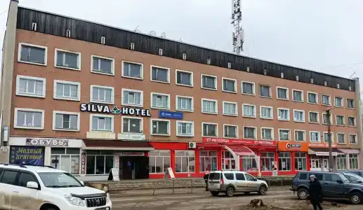 Silva - 6