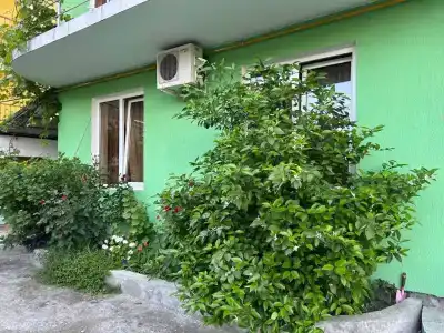 Оазис - Милана - 1