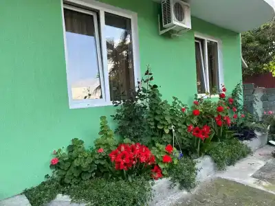 Оазис - Милана - 5