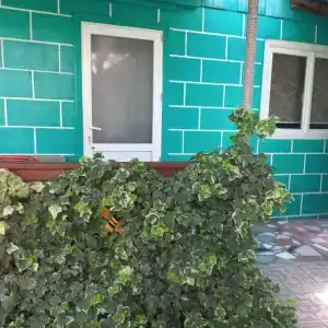 Как дома на Чайковского - 5