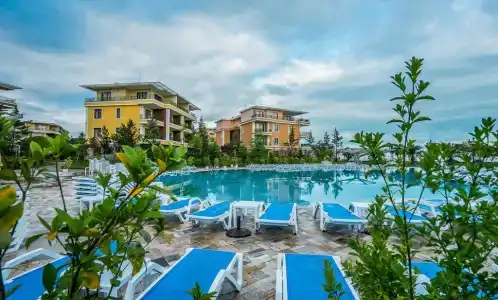 Dreamland Oasis - 7