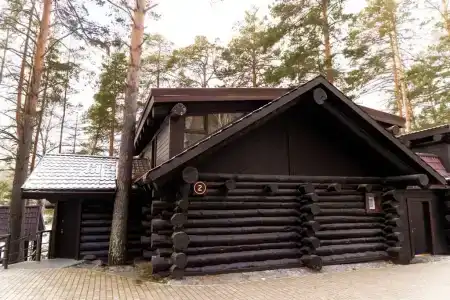 Шишка - 7