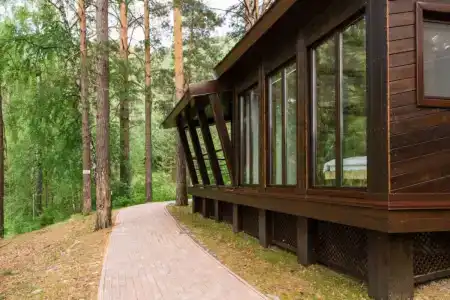 Шишка - 4