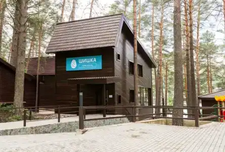 Шишка - 2