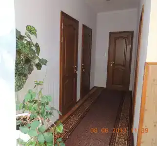 Диана - 4