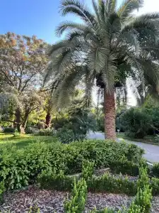 KuGa Parador - 3