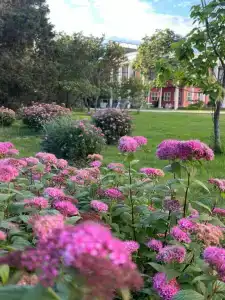 KuGa Parador - 4