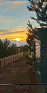 Брусника - 3