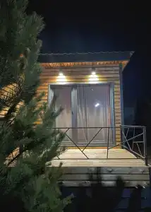 Брусника - 2