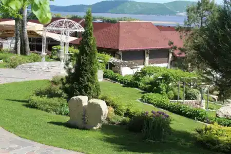 Парк - 5