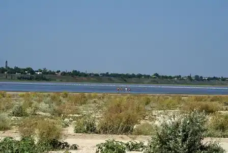 Натали - 14