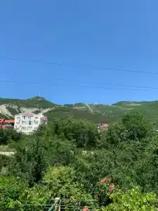 у Боцмана - 1