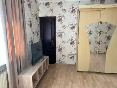 Тригона - 4