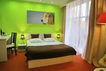 Cinema Capsula Dolphin Planet - 16