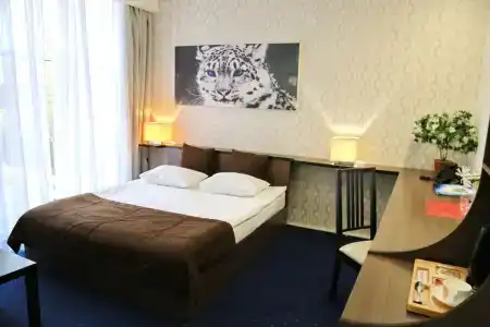 Cinema Capsula Dolphin Planet - 21