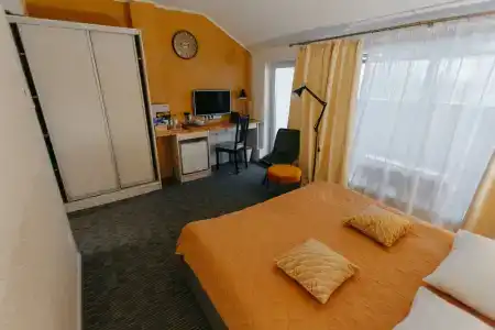 Cinema Capsula Dolphin Planet - 15