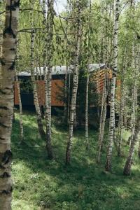 Никольские росы - 49