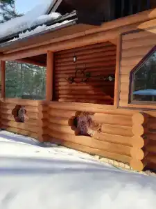 Палюшино - 12