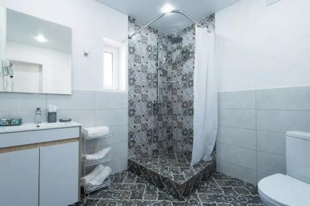 Серый Гусь - 38