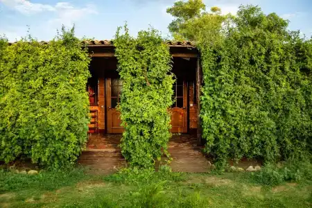 Пиратская шхуна - 0