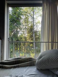 Уютный домик в ёлках - 10