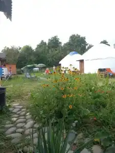 капсульный у Черного моря - 6