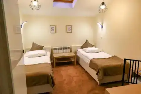 Cinema Capsula Dolphin Planet - 23