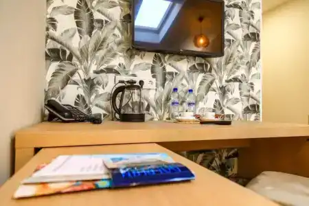 Cinema Capsula Dolphin Planet - 26