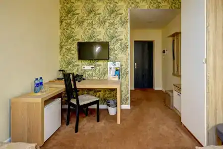 Cinema Capsula Dolphin Planet - 25