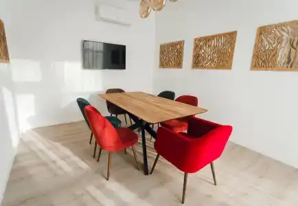 Cinema Capsula Dolphin Planet - 48