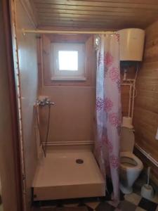 Светлячок - 43