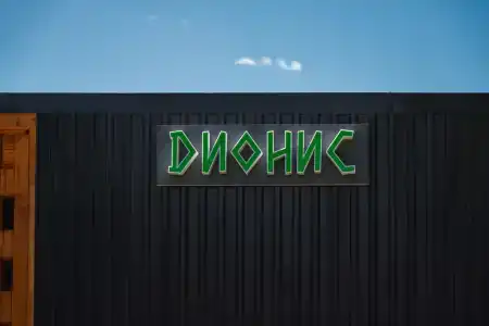 Dионис - 6