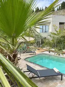 Little Palm - 2