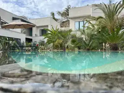 Little Palm - 5