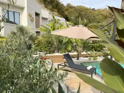 Little Palm - 1