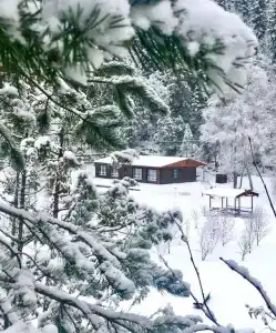 Вилланорда - 1