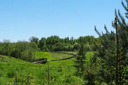 Саблинские Дачи - 11